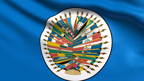 Organization Of American States Flag alt
