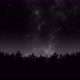 Of Stars Moving Over Pine Trees - VideoHive Item for Sale