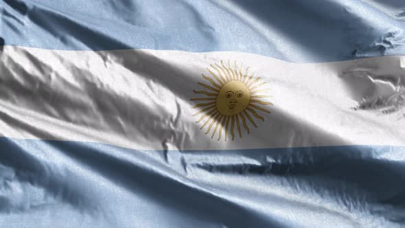 Argentina textile flag waving on the wind. 10 seconds loop.  alt