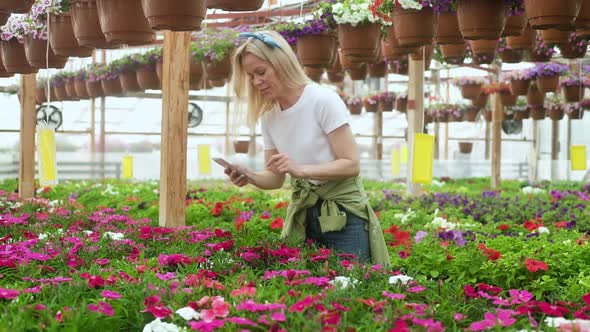 Gardener works greenhouse. woman checks plants and makes calculations on phone alt