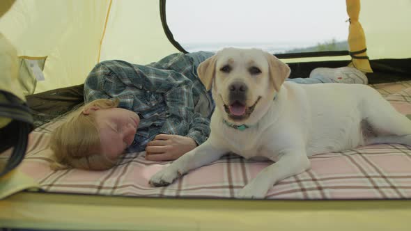 White Labrador Retriever Dog Laying Next to Its Owner in Camping Tent alt
