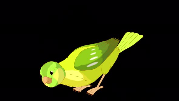 Green canary pecks grain alpha matte 4K