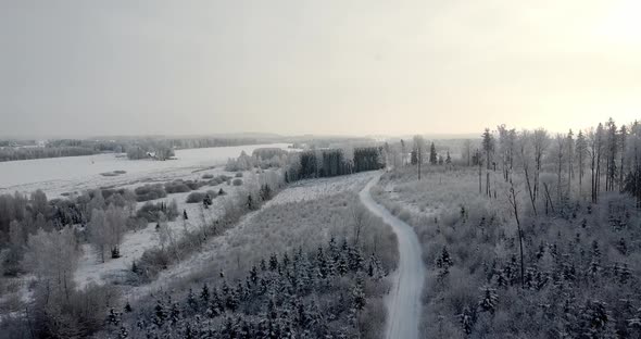 Aerial Footage of Flying Over the Frosty Tree Tops Landscape alt