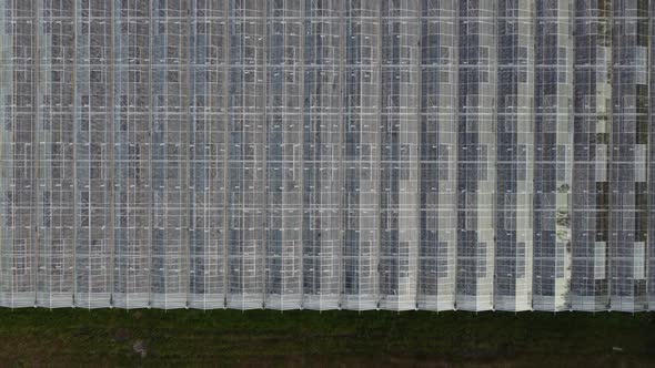 Agricultural Greenhouses