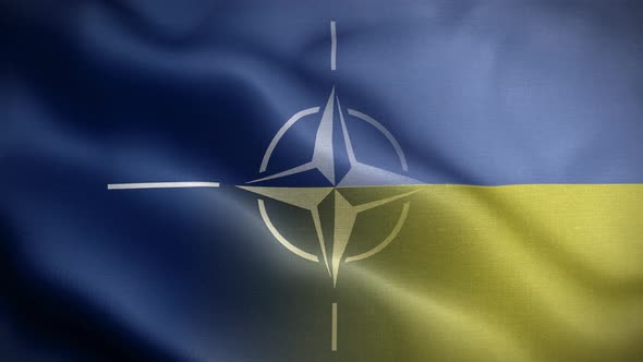 Nato Ukraine Flag Loop Background 4K