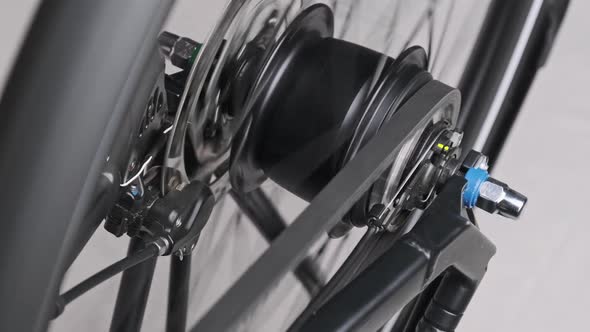The Planetary Gear on a Belt Driven Bike is Rotating Gear Change Mechanism alt