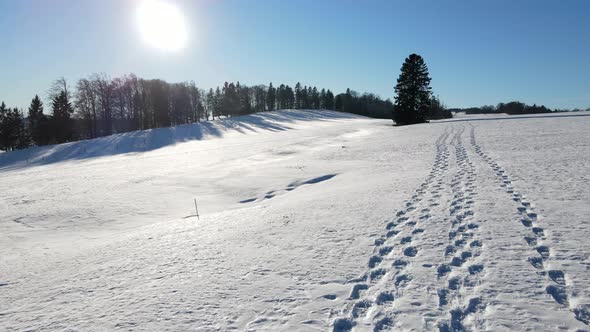 Footprints in a snowy snow field in winter sunlight