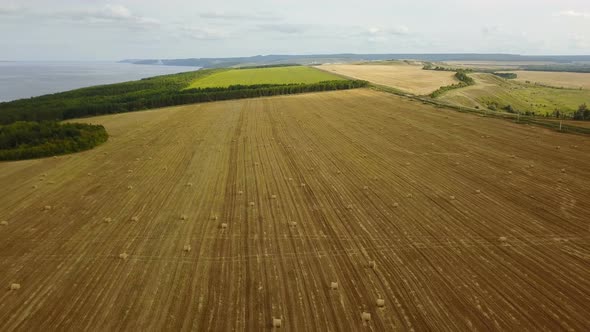 Field With Haystack