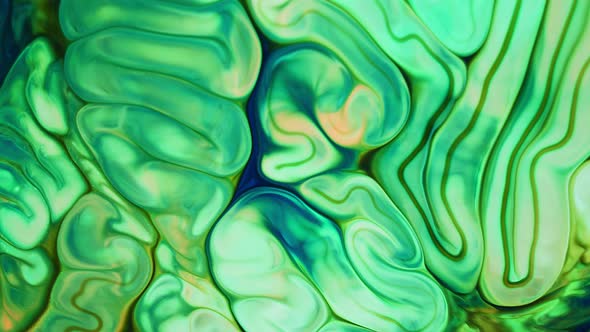 Abstract Colorful Food Paint Diffusion Spread 029 alt