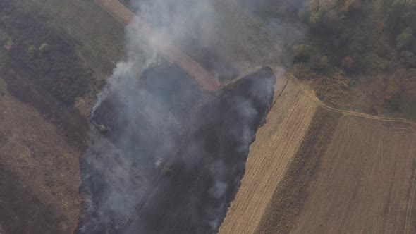 Top view of field of grass under fire and smoke 4k drone footage