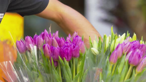 Worker arranges baskets of tulip bouquets. Close up shot. alt
