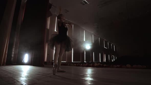 Arts and Entertainment in Theatre with Female Classic Dancer in Tutu Standing Behind the Scenes and alt