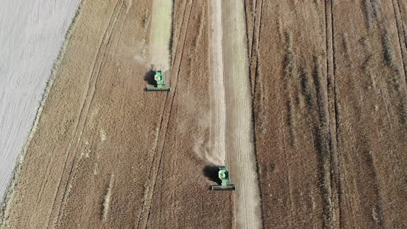 Top View of a Two Combine Harvester Which Works in the Field and Mows Wheat