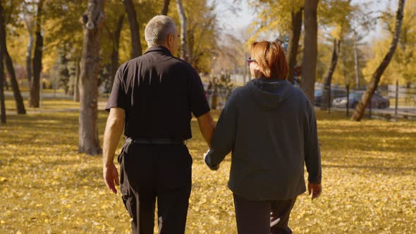 Back View of Elderly Couple Holding Hands While Walking Together in Park  alt