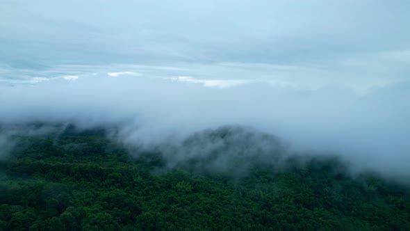 4K Aerial Drone shot flying over beautiful mountain ridge in rural jungle bush forest. alt