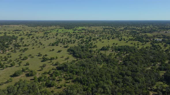 Pantanal Wetlands in Dry Season in Brazil