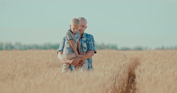 Happy Father and His Little Son are Walking in a Wheat Field