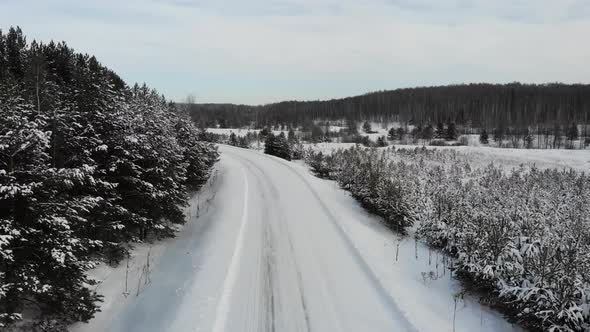 15 Winter Road