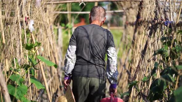 Ethnic farmer in straw hat on plantation in countryside alt