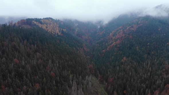 Aerial Drone Footage View: Flight over autumn mountain with forests and fields. alt