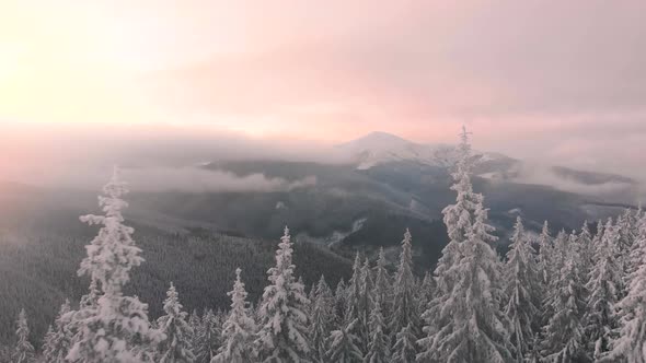 Aerial Drone Flying Above Winter Forest in Mountain Valley at Sunrise alt