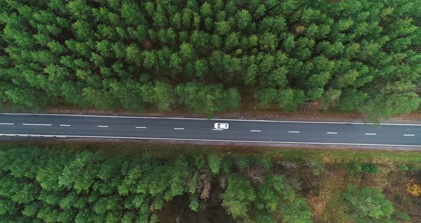 Aerial Photography of a Car Driving Through a Pine Forest