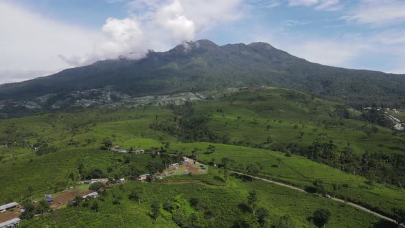 Aerial view of tea plantation in Kemuning, Indonesia with Lawu mountain background alt