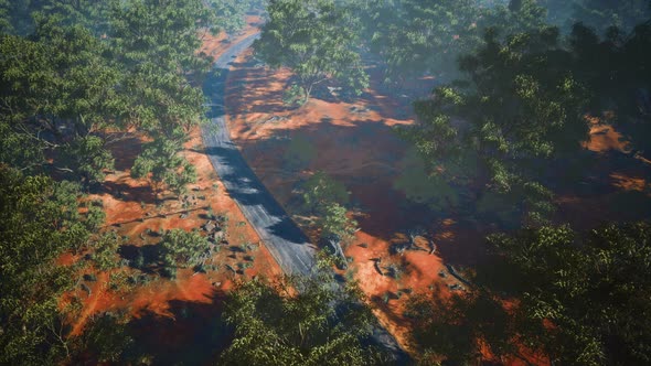 Road in Aerial View with Green Plants and Trees Around alt