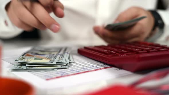 Accountant Counts Banknotes