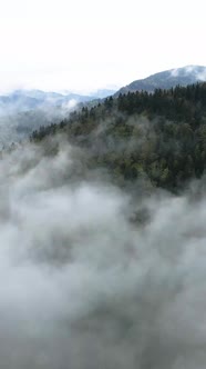 Vertical Video of Fog in the Mountains alt