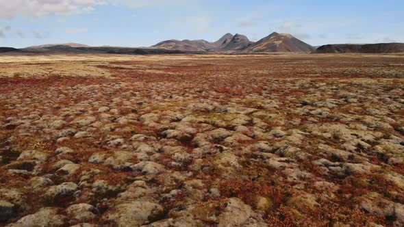 Volcanic Landscape in Autumn Close To Thingvellir Nation Park Iceland