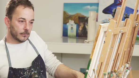 Mature Handsome Male Artist Smiling Talking on the Phone While Painting alt