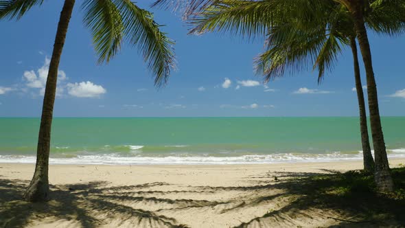 Aerial, Beautiful Palms And Clear Ocean On Clifton Beach In Cairns, Queensland, Australia