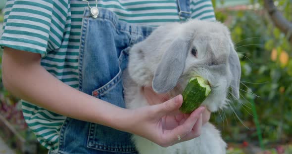 Gray Rabbit Eating a Cucumber in the Girl's Arms