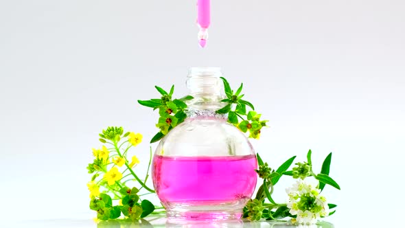 Perfumery. Essential Oil Product. Drops falling from cosmetic pipette to glass bottle with perfume alt