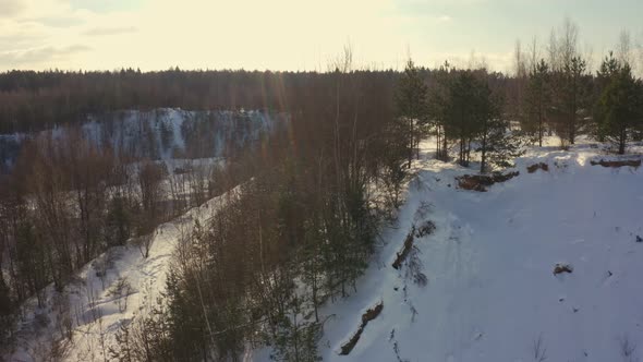 Winter and Green Forest on a Bright Sunny Day