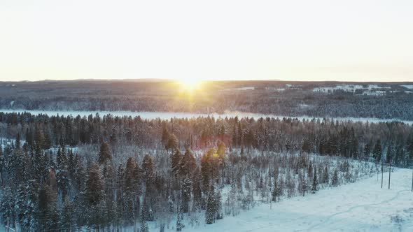 Aerial View of the Sunset in the Winter Forest alt