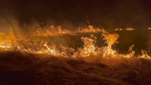 Blazing Fires in a Paddy Field at Night Burning Stubble alt