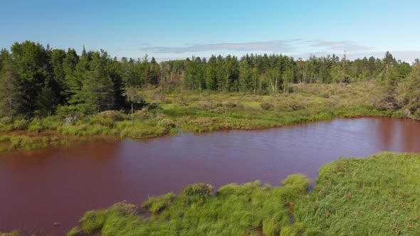 Aerial View Of  Marsh In Summer. Wetland With Trees And Bushes.