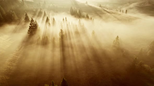 Magnificent Misty Sunrise in the Mountains alt
