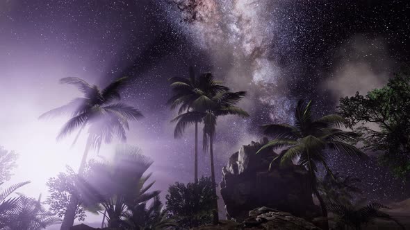 Milky Way Galaxy Over Tropical Rainforest. alt