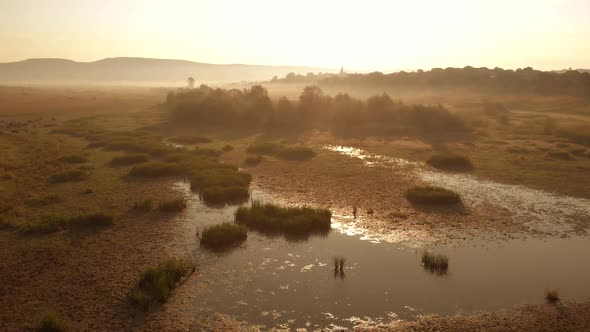 Field with Swamp on a Sunny Day alt
