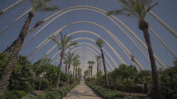 Jardin bajo estructura metálica travelling in / Palmeras / Zonas verdes