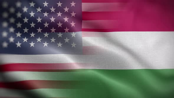 USA Hungary Flag Loop Background 4K