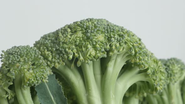 Organic Brassica oleracea  slow tilt 4K 2160p 30fps UltraHD footage - Green broccoli floret close-up alt