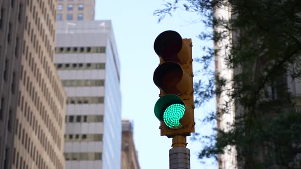 Traffic Light 39 alt