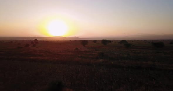 Sunrise over Tanzanian open savannah in Masai Mara, Kenya. 4K alt