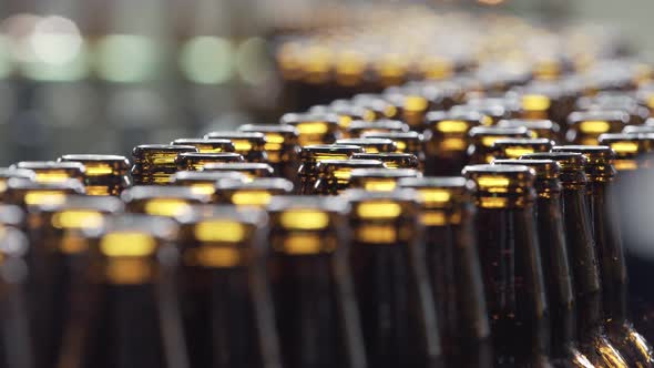 Beer Bottles on a Conveyor Belt alt