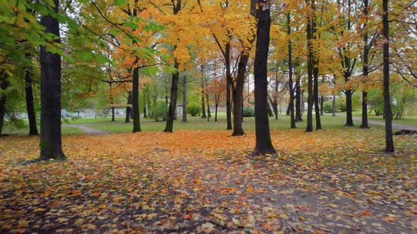The Beauty of an Autumn Park in St alt