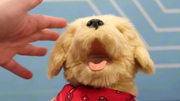 Human Hand Stroking a Robot Dog alt